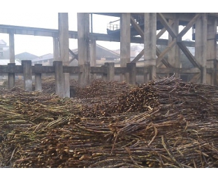 廣西來賓某堿氯法甘蔗渣制漿廠除COD、脫色案例分享